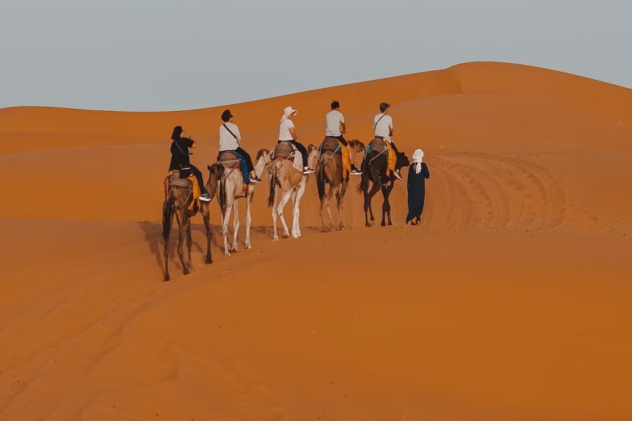 Photo by rigel on Unsplash