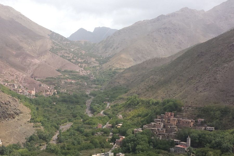 Photo by mouad bouallayel on Unsplash