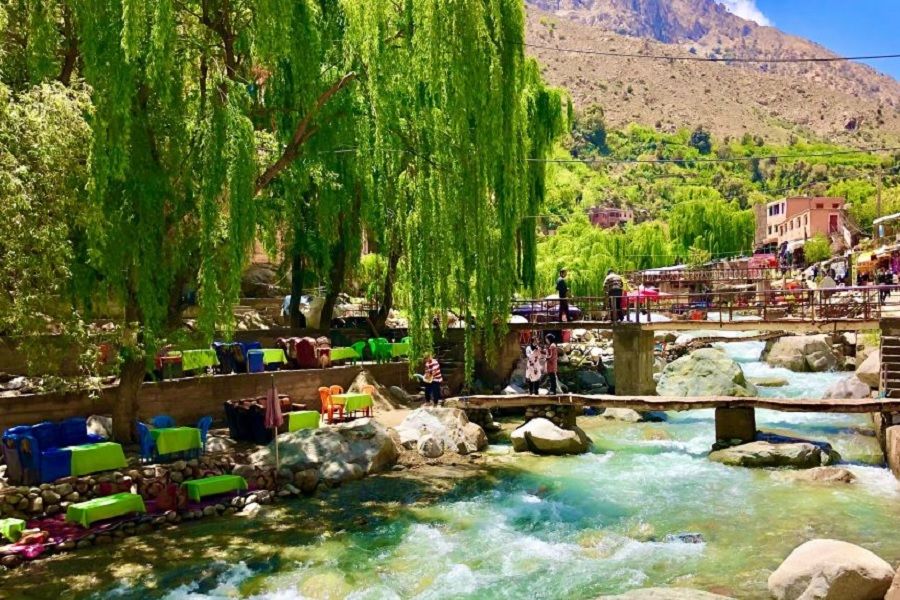 Photo by rigel on Unsplash