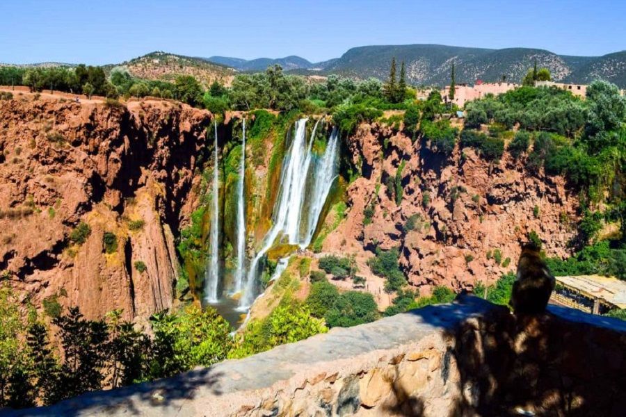 Photo by Toa Heftiba on Unsplash